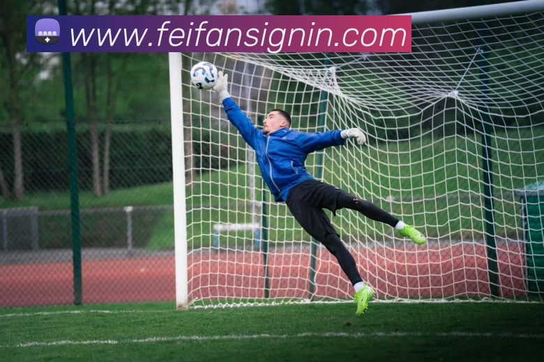 非凡体育平台生态图